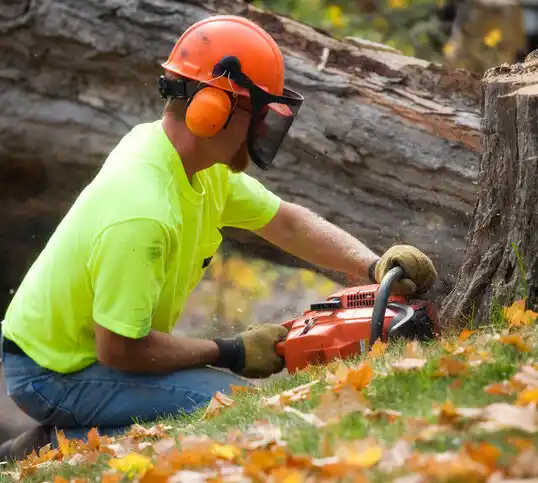 tree services Jasper